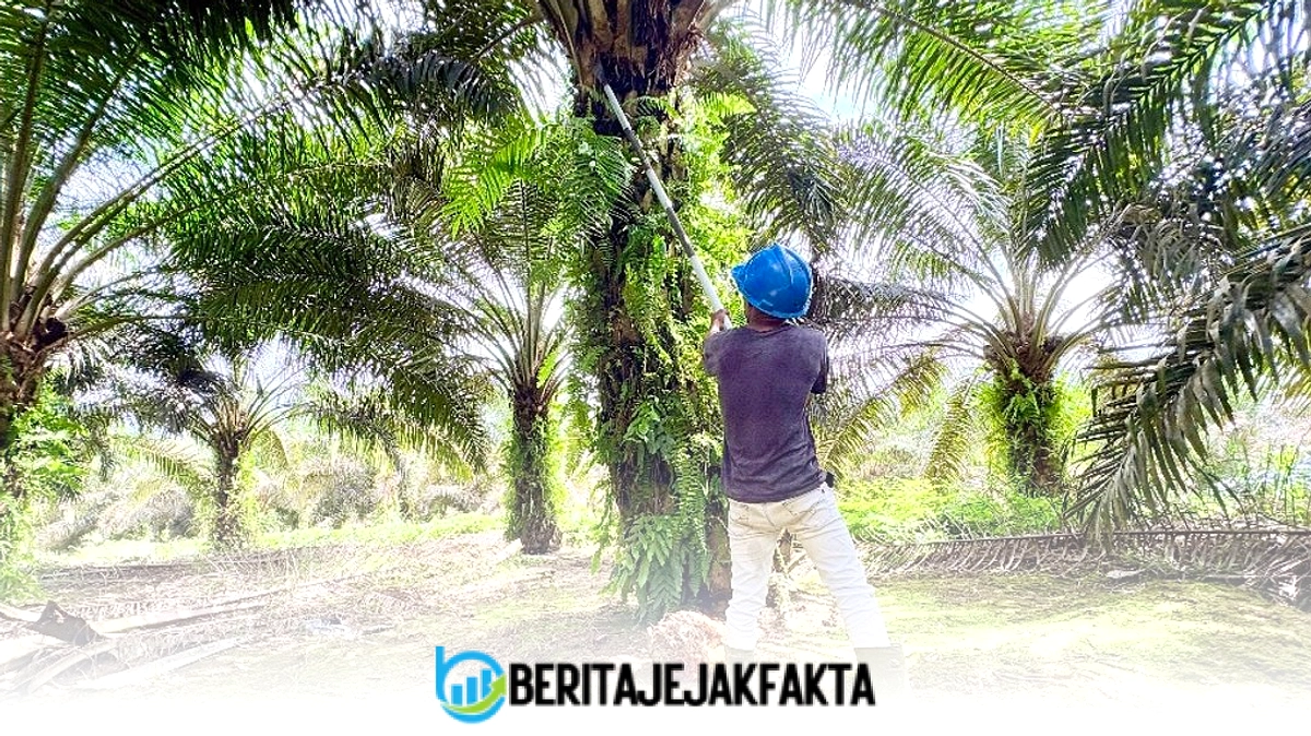 Prabowo Kritik Harga CPO RI, Rugi Rp12 Ribu per Kg