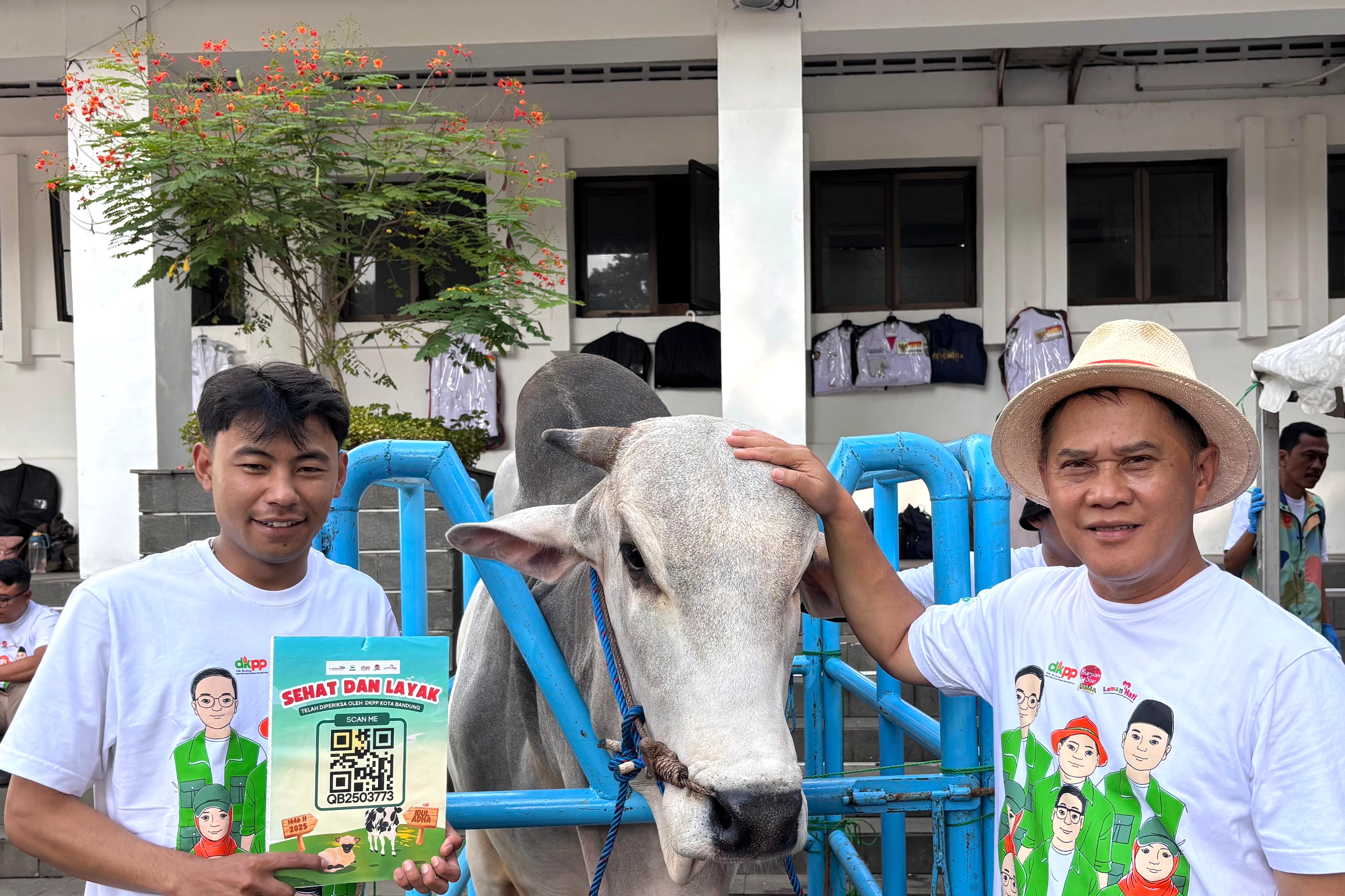 Presiden Prabowo Beli Sapi Kurban Kang Jo 1,144 Ton