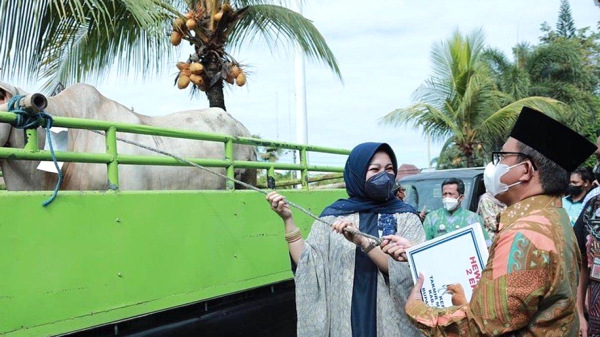 Presiden Prabowo Berkurban Sapi 930 Kg di Masjid Klaten