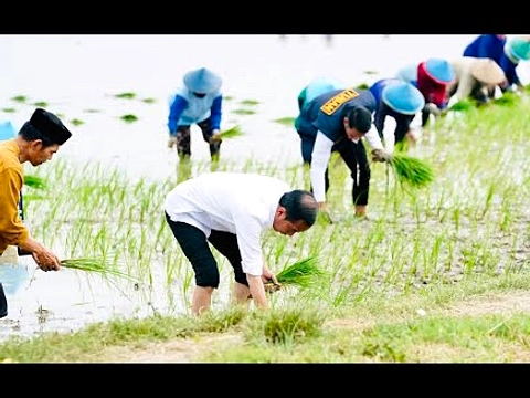 Presiden Prabowo di Tuban: Dukungan Baru bagi Petani