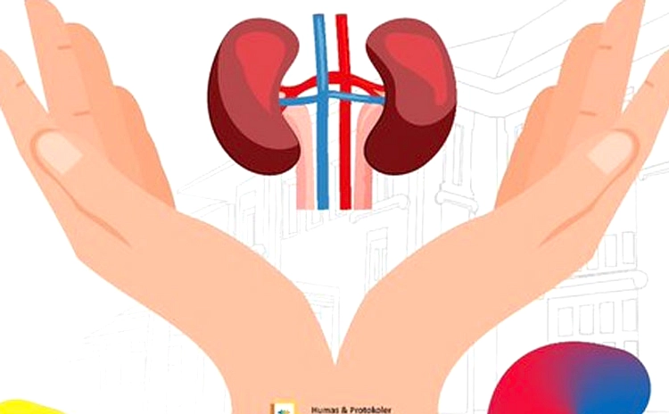 Prevalensi CKD di Singapura Naik 13,9% Tahun 2024, Resmi