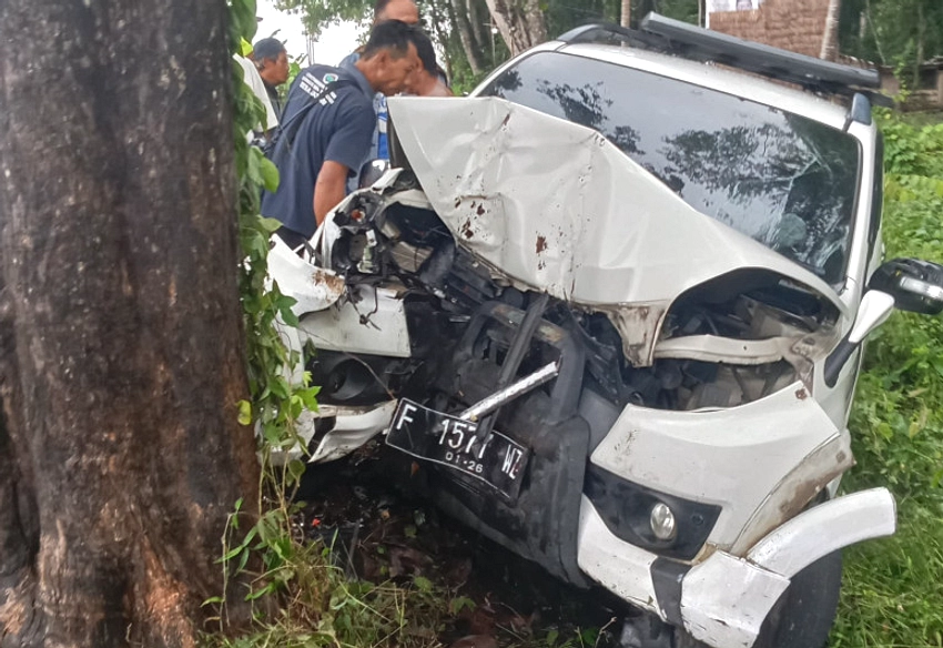 Pria 50 Tahun Terjebak di Mobil Menabrak Pohon Kamboja