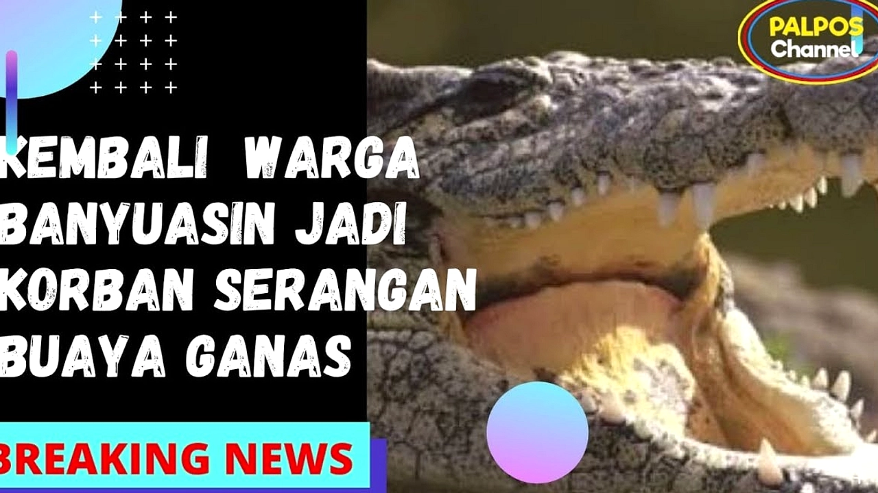 Pria Bandung Tewas Diterkam Buaya di Sungai Banyuasin
