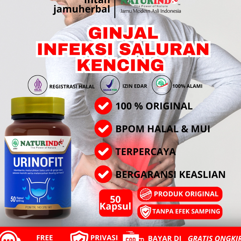 Pria India Ditemukan Punya Ginjal Ketiga Saat ISK