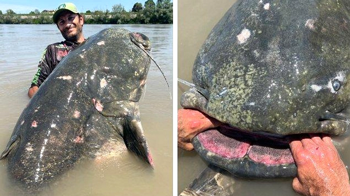 Pria Malaysia Menang Lomba Memancing, Dapat Rp 4,3 Miliar