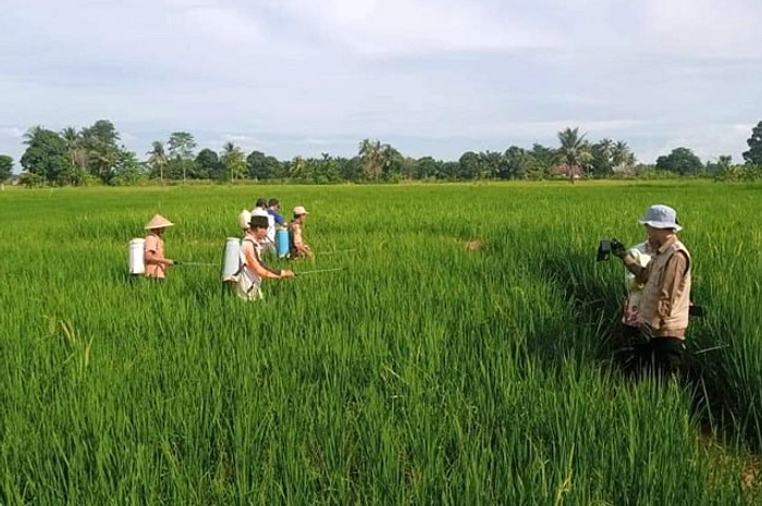 Program Cetak Sawah Ogan Ilir Terancam Gagal Tanam
