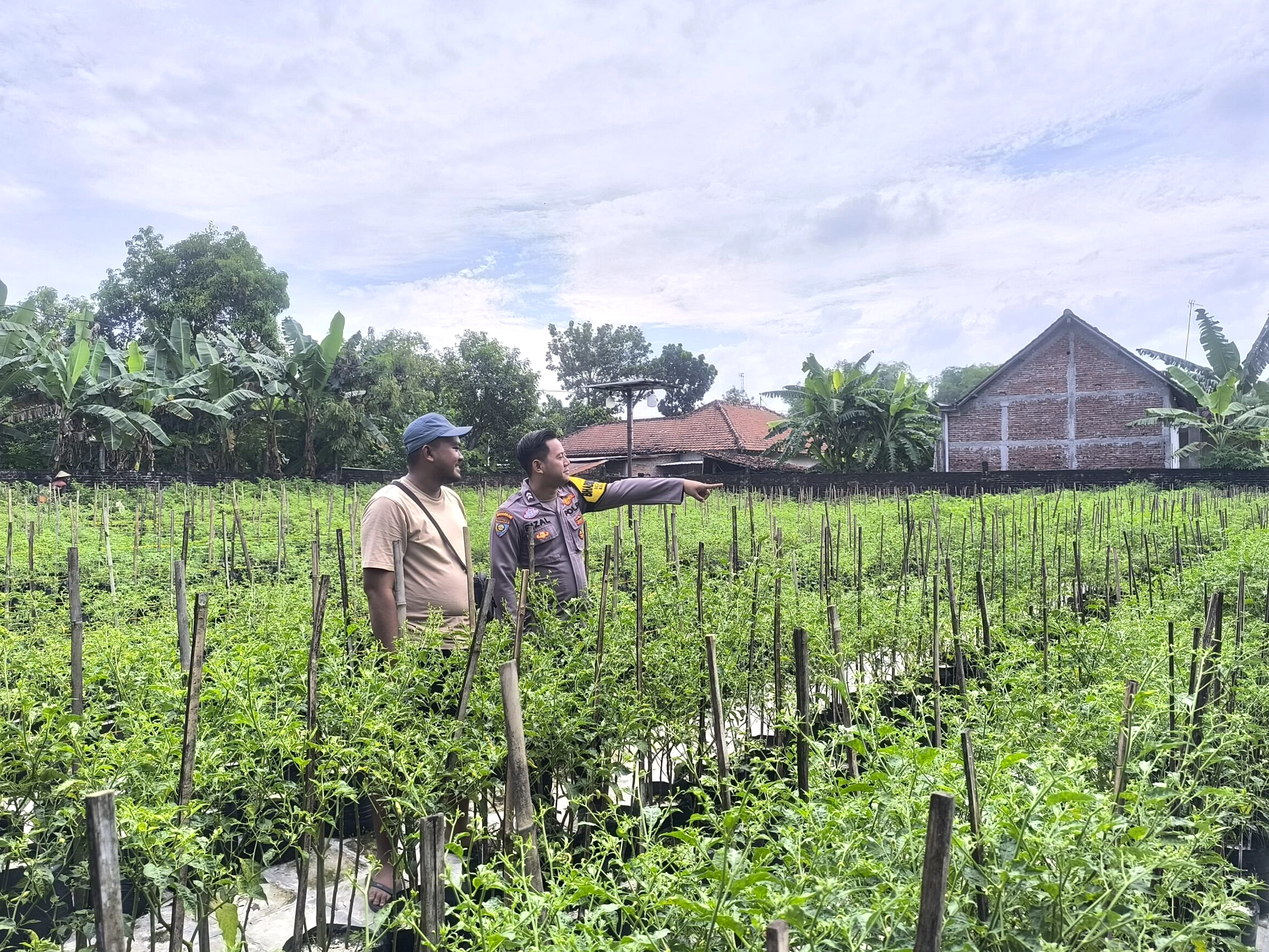 Program Cikabayam: 250 Ayam Dibagikan ke Warga Banjaran