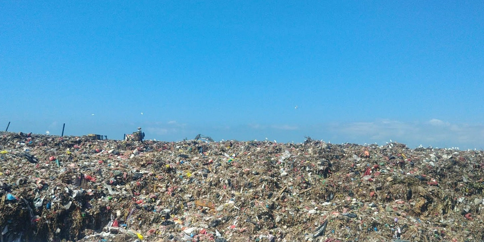 PSEL Bali Diresmikan, Akademisi Ingatkan Bukan Solusi Tunggal