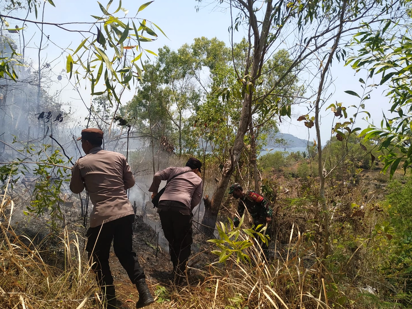 Puntung Rokok Diduga Sebabkan Karhutla di Trenggalek