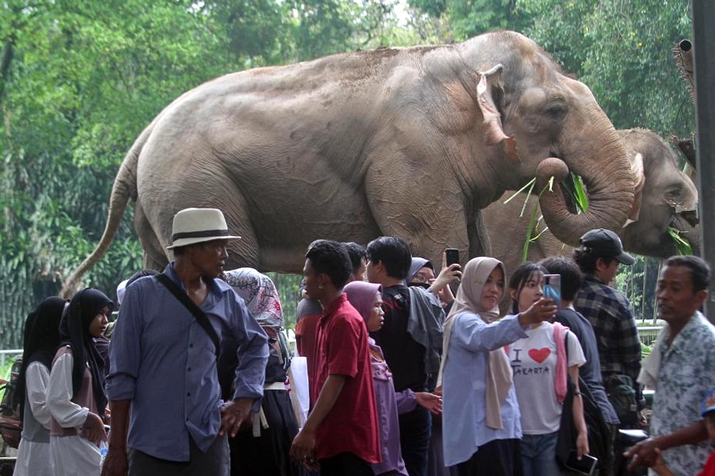 Ragunan Tetap Ramai Meski Libur Sekolah Hampir Usai