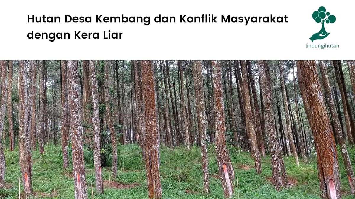 Raja Juli: Hutan Jadi Mesin Ekonomi Baru