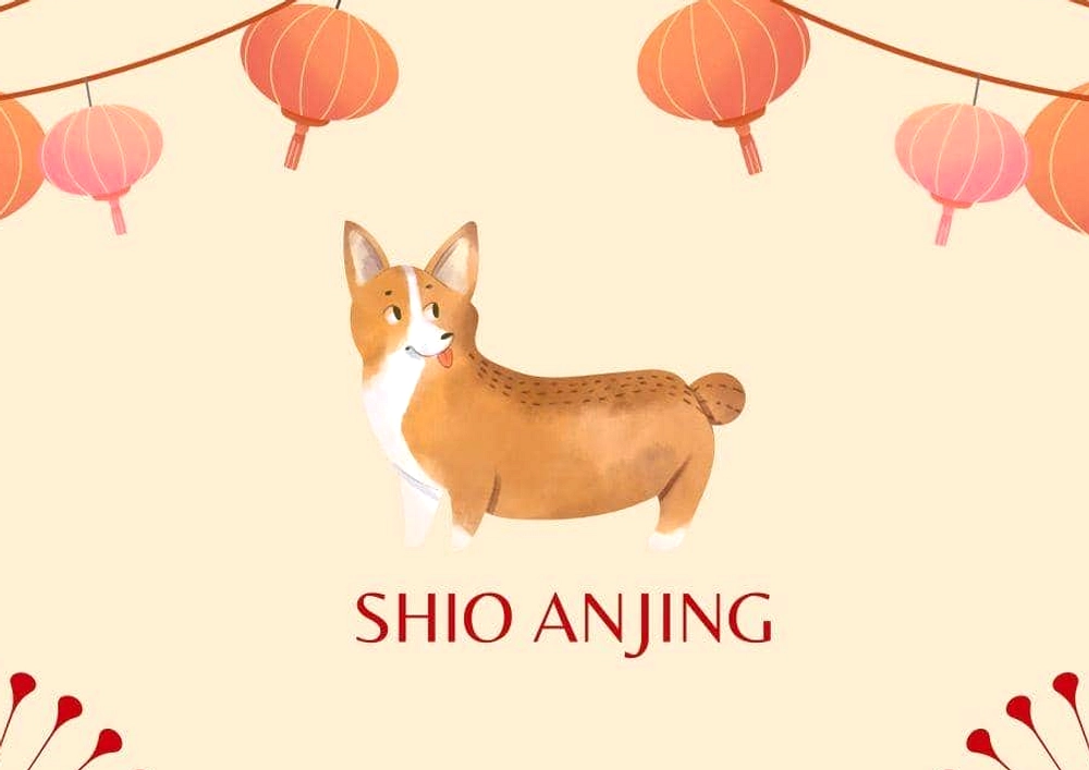 Ramalan Shio Anjing Minggu 22-28 Juni 2026: Keberuntungan Tersembunyi di Balik Masalah