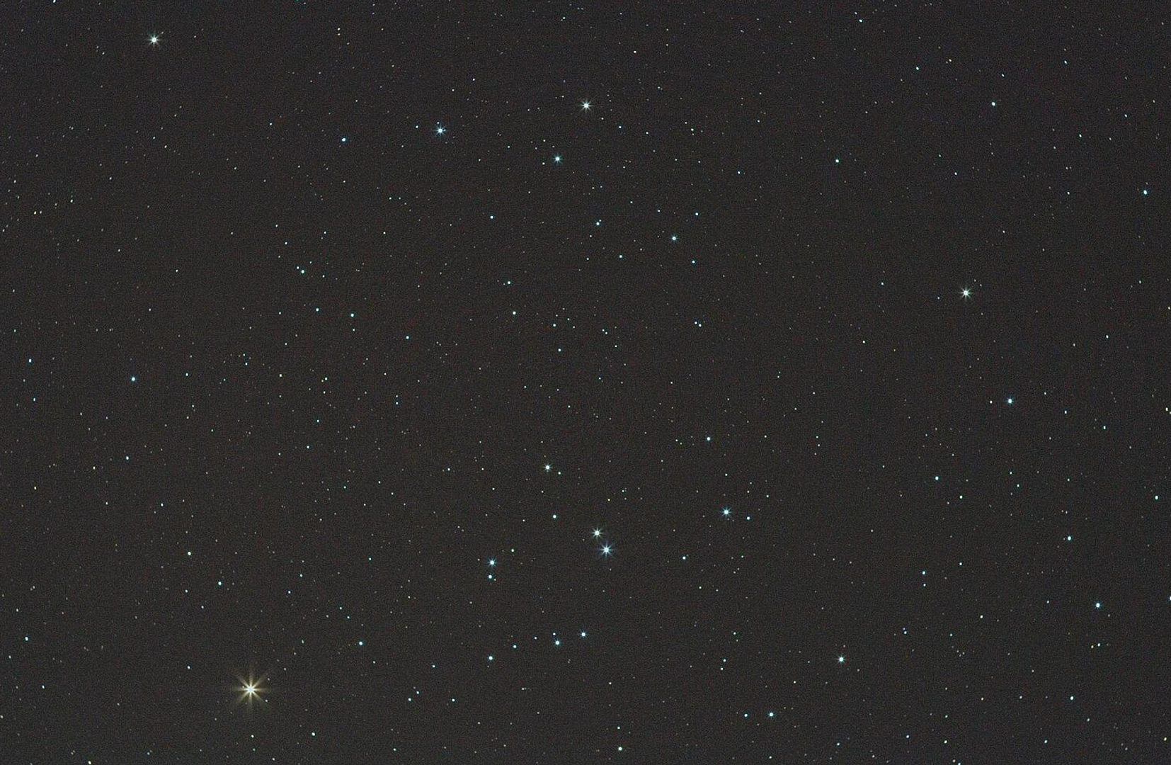 Ramalan Zodiak Taurus 6 Juli 2026: Asmara, Karier, dan Keuangan Hari Ini