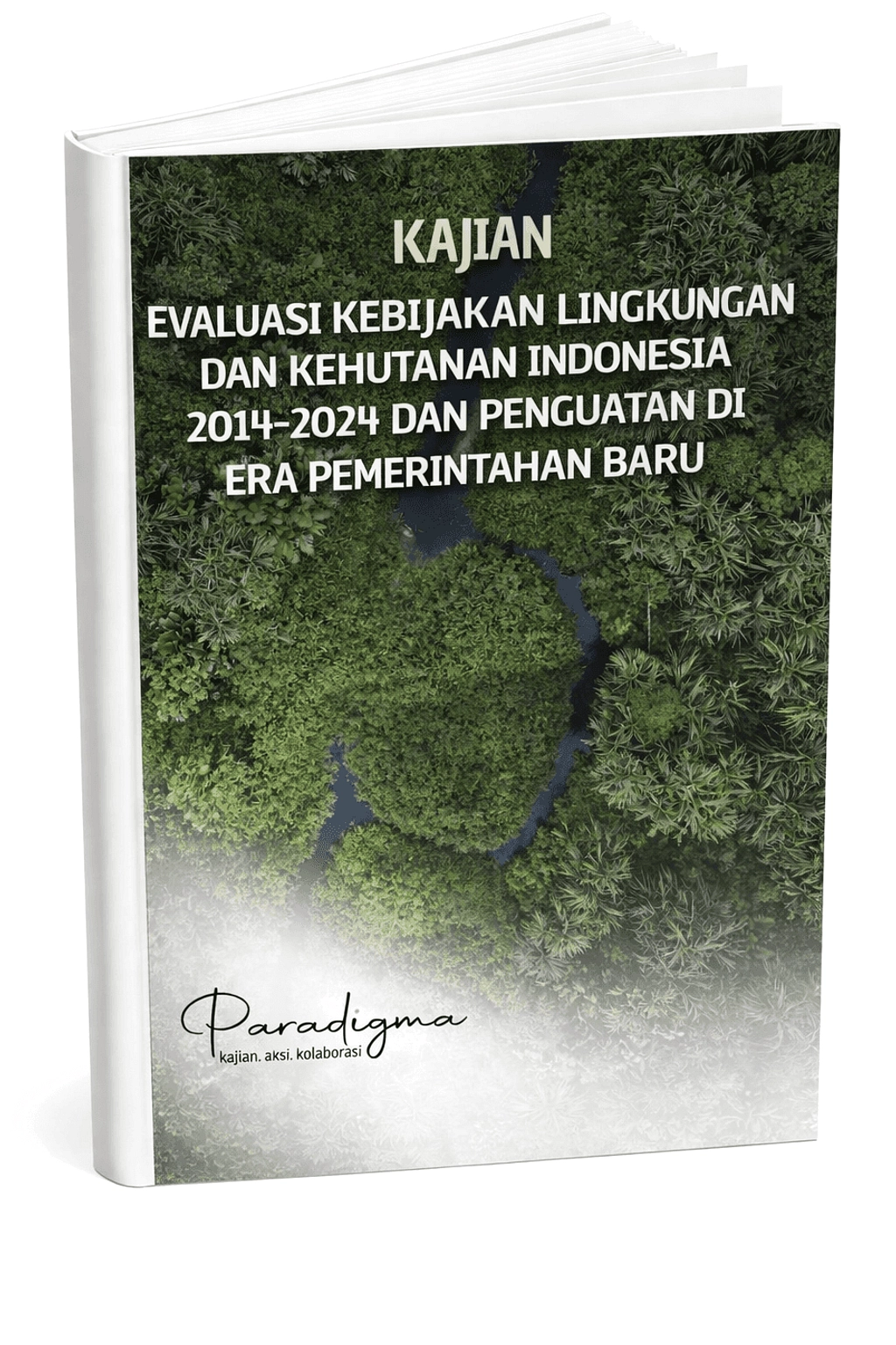 Revisi Perpres Karbon Pulihkan Kepercayaan Investor