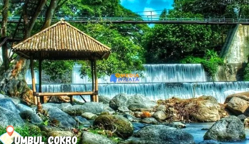Ribuan Lele Tumpah di SPBU Klaten, Warga Bantu Evakuasi