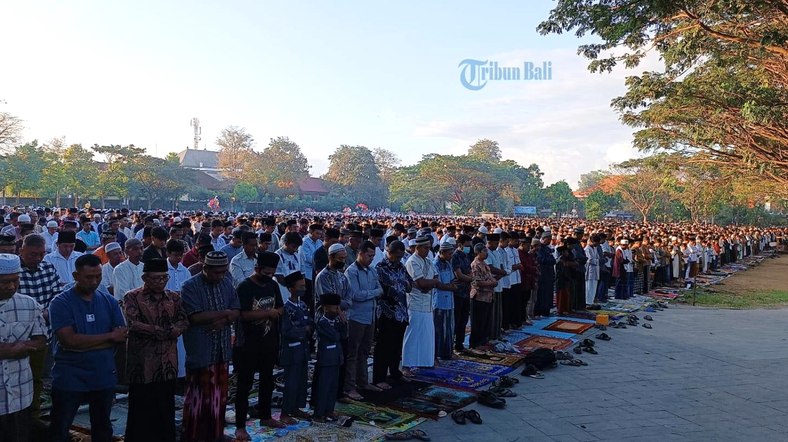 Ribuan Umat Idul Adha 1447 Pagi Denpasar, Lapangan Renon