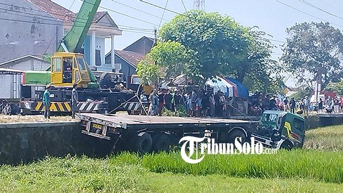Sapi Kurban Di Desa Klepu Melarikan Diri, Dipangkas di Tegal