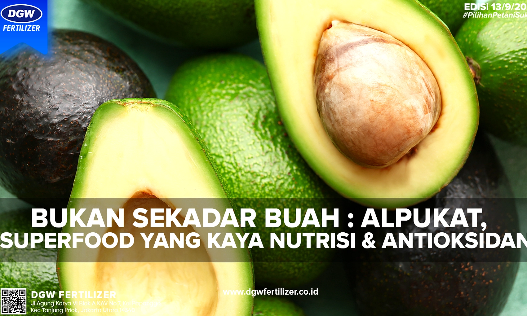 Sarikaya, Bukan Apel, Jadi Buah Paling Sehat Versi BBC