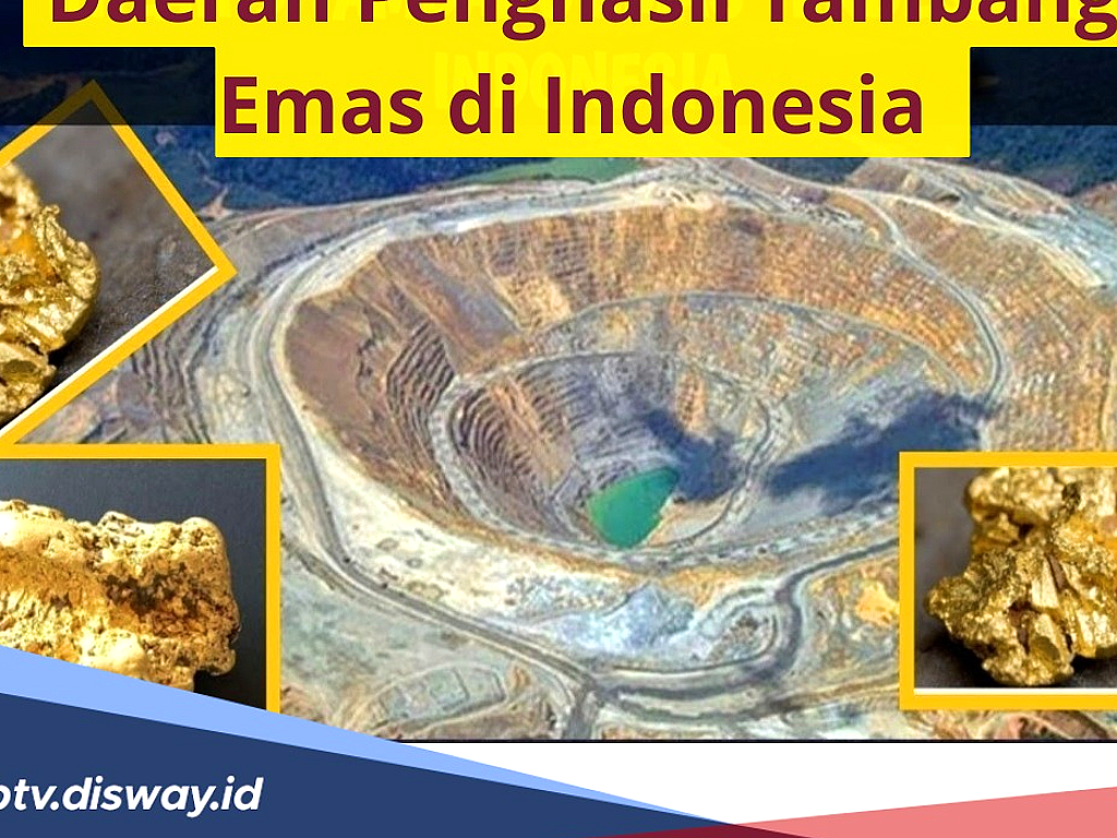 Satgas PKH Tutup Paksa Tambang Ilegal di Papua Tengah