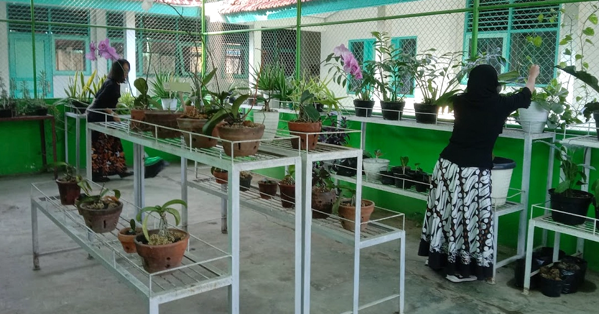 Sekolah Pangandaran Ubah Garasi Motor Jadi Kebun Anggur