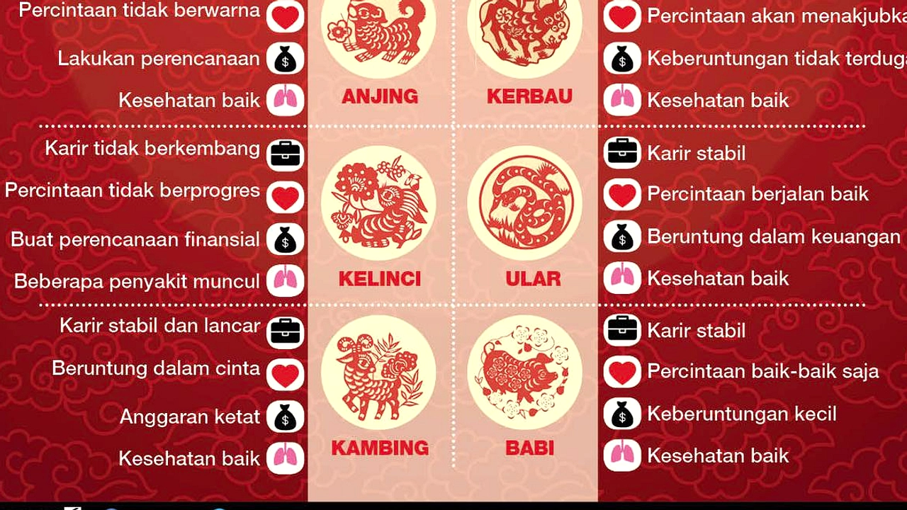 Shio Babi: Energi Stabil Minggu 2026-06-08 s/d 2026-06-14