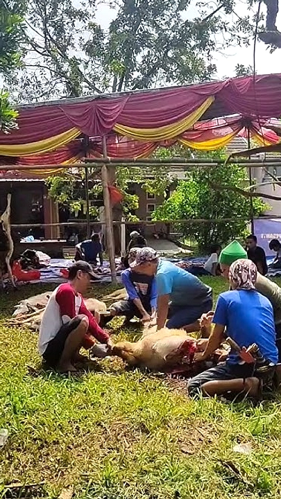 Shohibul Kurban Dapat Makan, Sisanya Dibagikan ke Miskin