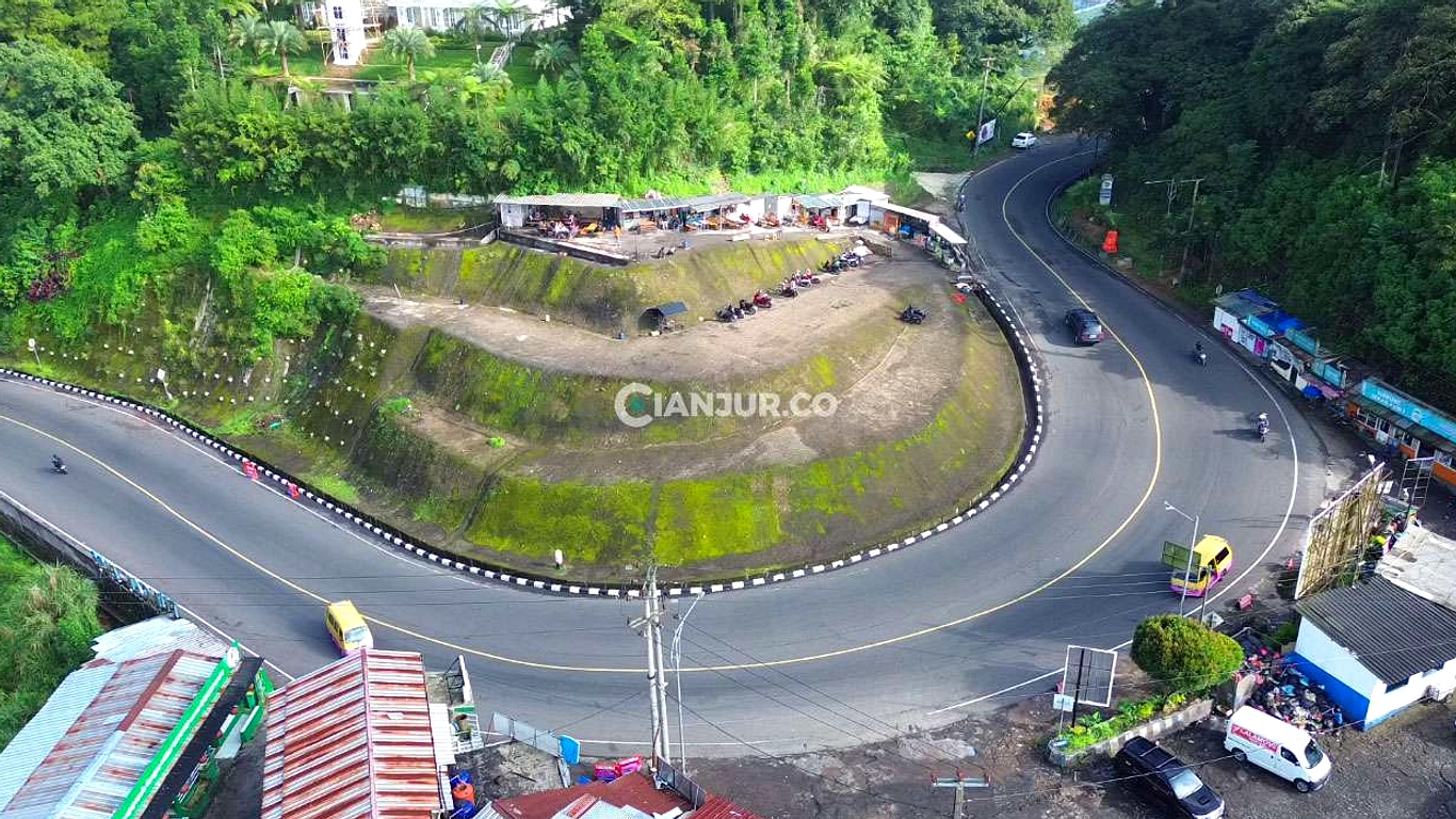 Starling Kembali Penuhi Puncak, Satpol PP Bergerak
