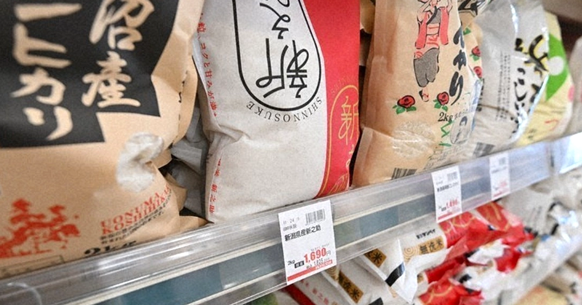 Stok Beras Jepang Naik 54%: Harga Melonjak, Konsumsi Turun