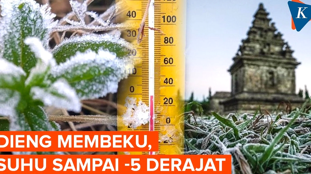 Suhu Dieng Capai -6 Derajat, Tanaman Membeku