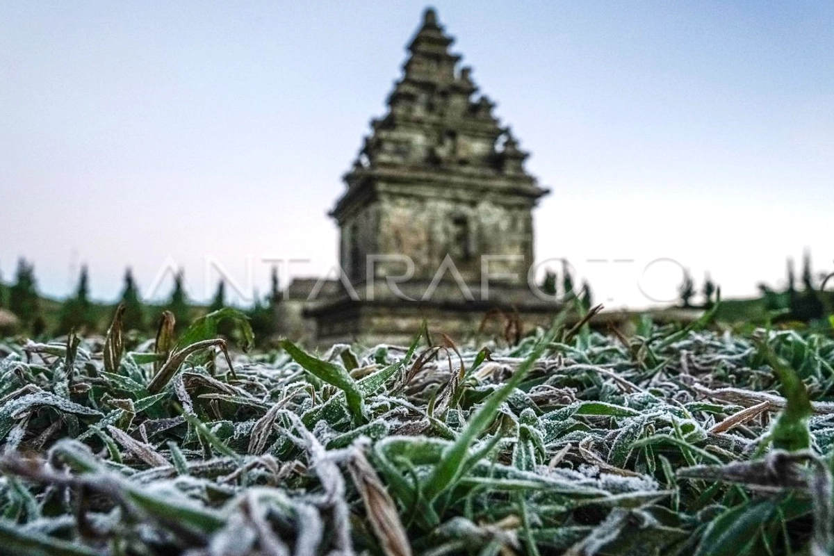 Suhu Dieng Tembus -6 Derajat, Petani Kentang Terancam Gagal Panen