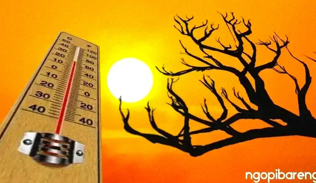 Surabaya: Berawan, Suhu 24‑32°C, Kelembapan 61‑97%, Hujan Ringan