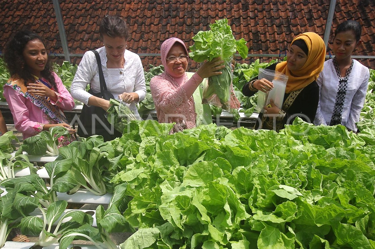 Surabaya Rayakan Hari Kartini 2026: Program Inklusif