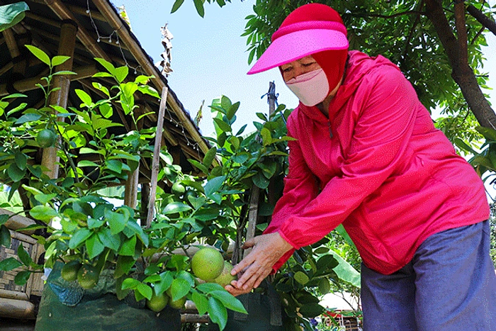 Susia Garden: Restoran Kebun Urban dengan Bakso Cirawang