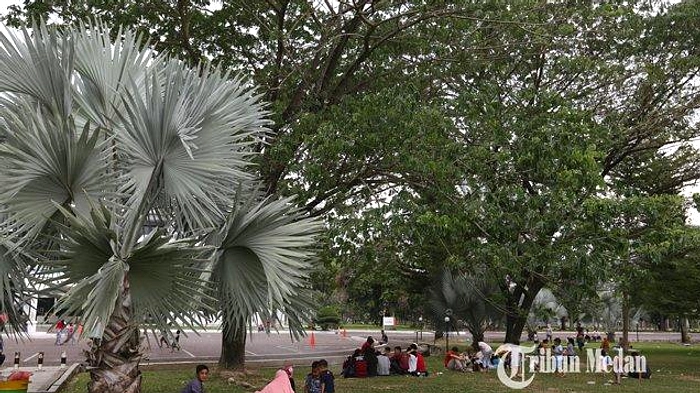 Taman Kota USU Medan: Jogging, Rusa, dan Hiburan Keluarga