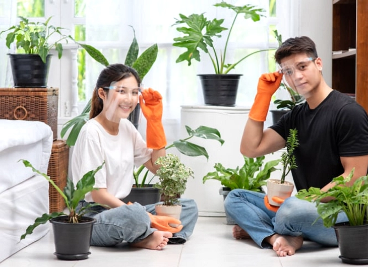 Tanaman Hias di Ruang Kecil: Tips Praktis dan Alat Seadanya