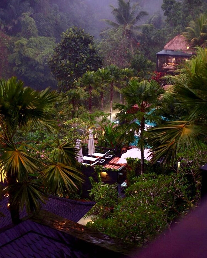 Tanaman Tropis Membuat Rumah Seakan Resort Bali Setiap Hari