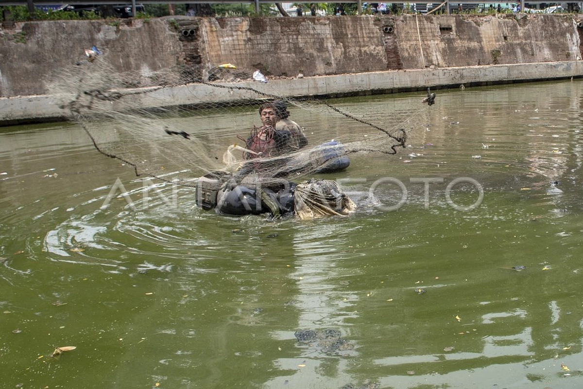 Tangkap 6,98 Ton Ikan Sapu‑Sapu, 68.880 Ekornya Dikeluarkan