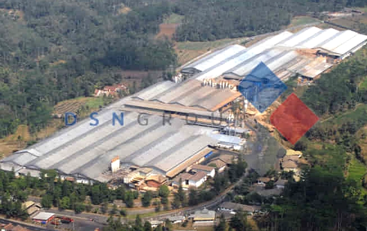 TAPG turun 8,1% net profit, DSNG naik 16,9% di Q1 2026