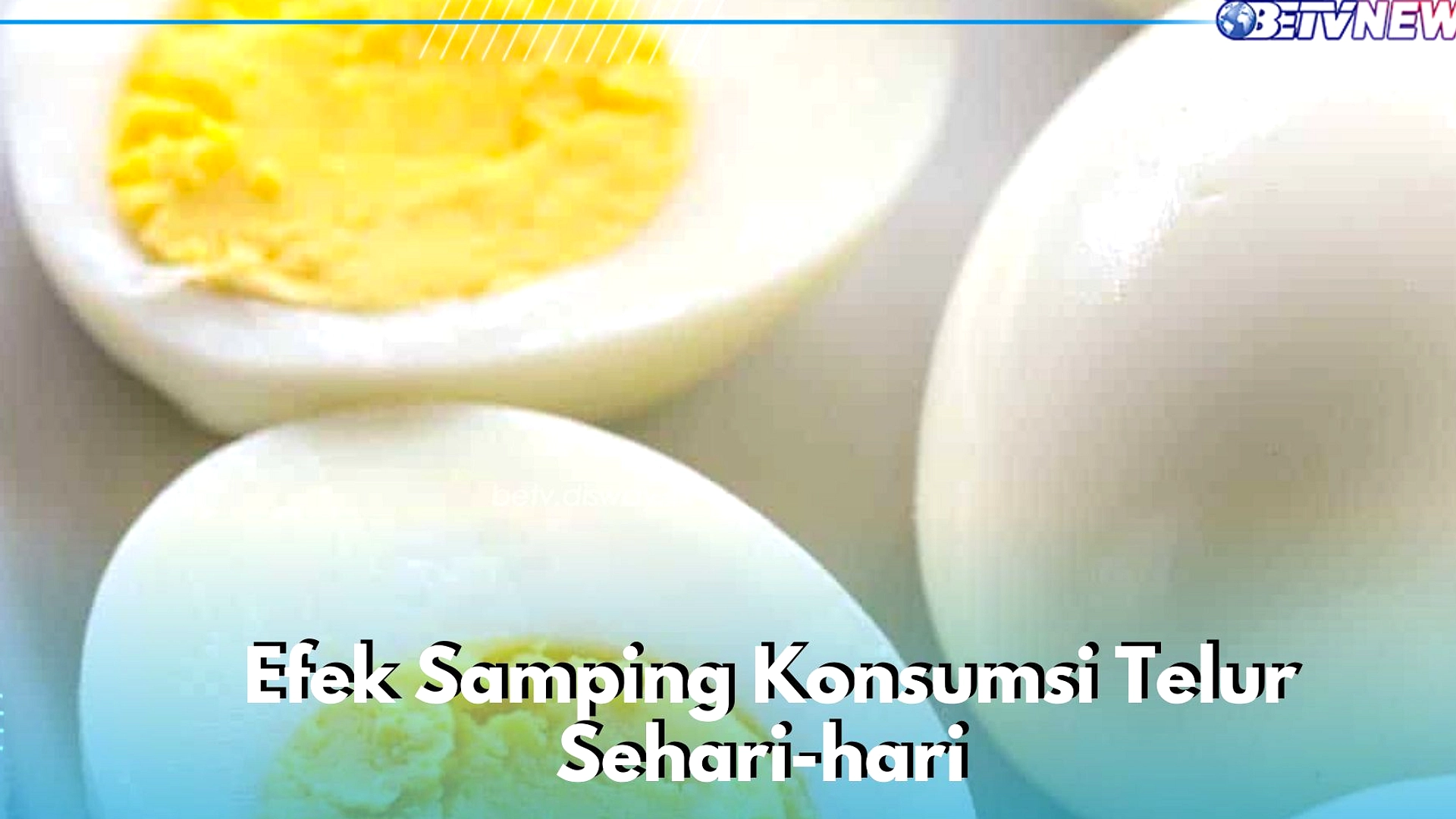 Telur: Manfaat, Risiko, dan Batas Konsumsi Sehari