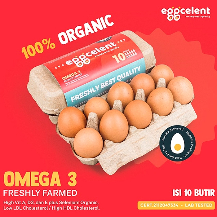 Telur Omega‑3: Kandungan Omega Tinggi, Kolesterol Sedikit