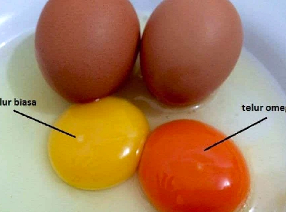 Telur Omega‑3: Pakan Khusus, Harga Tinggi, Label Harus Sah