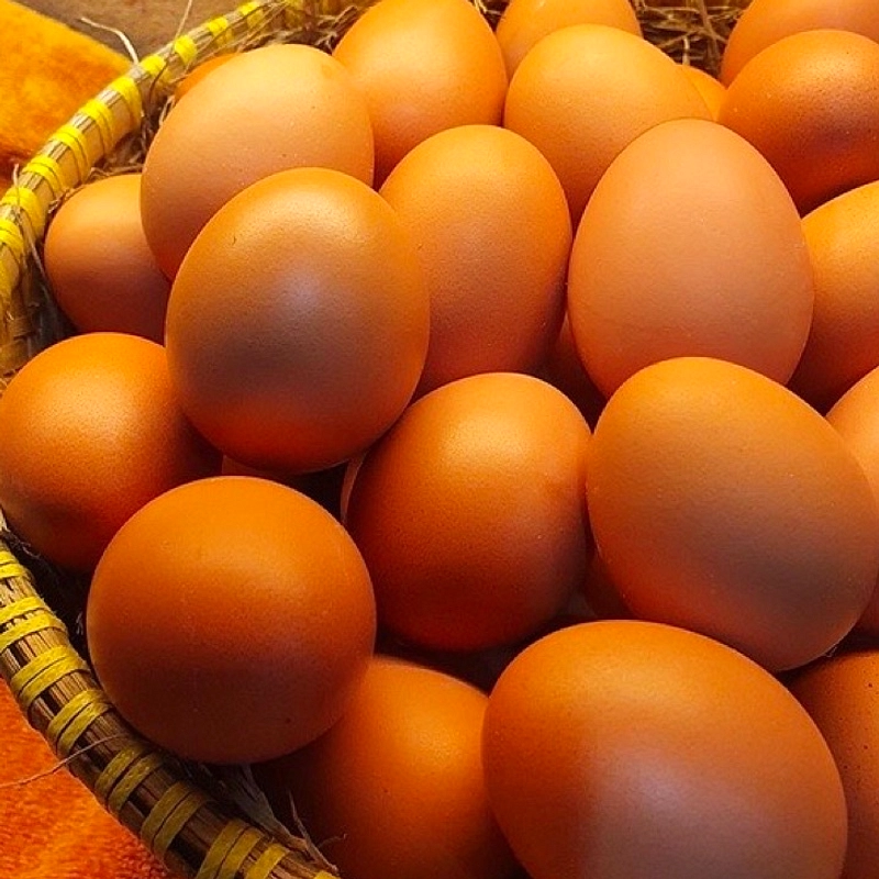 Telur premium Jepang bernilai tinggi tanpa rasa berbeda