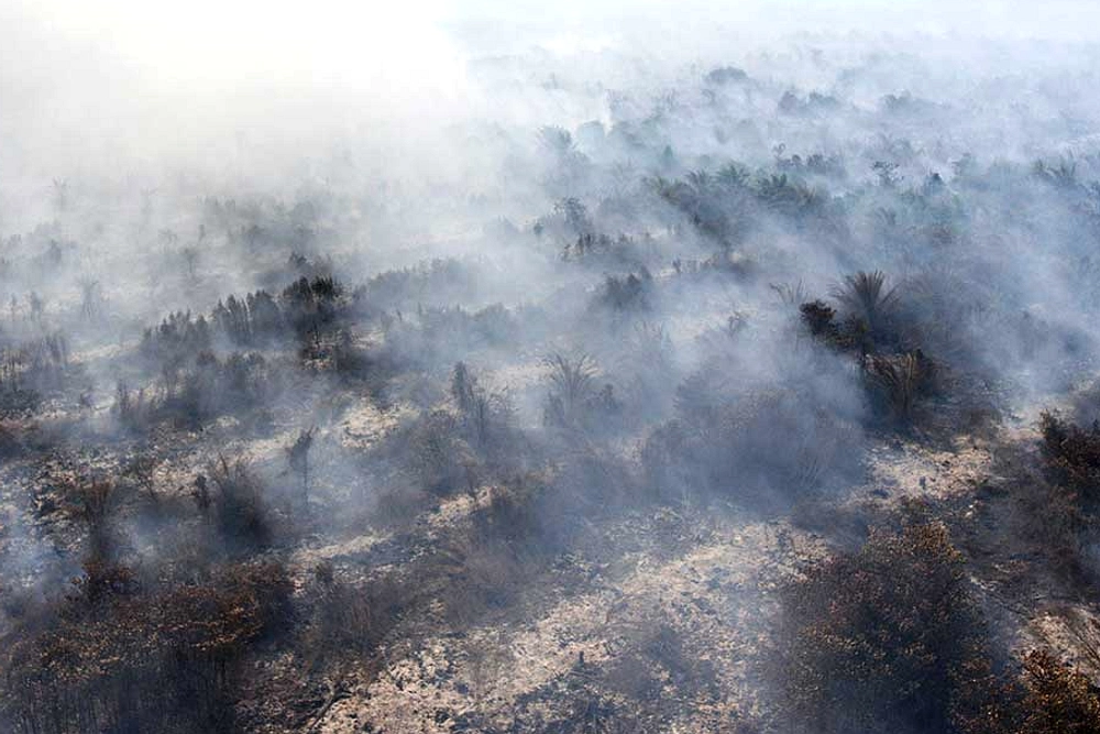 Tiga dari Empat Wilayah Karhutla Sumsel Padam