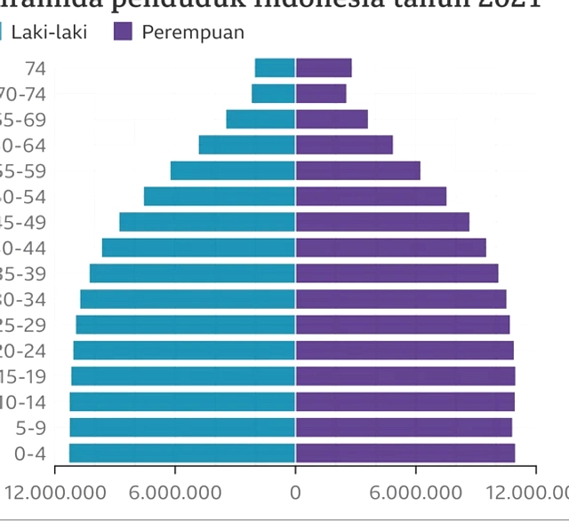 Tingkat Kelahiran Turun 52% Saat iPhone Masuk Pasar, Indonesia