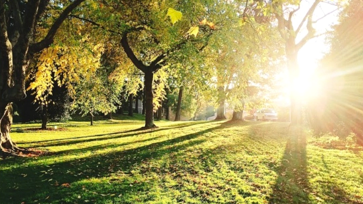 Tingkatkan Waspada: Risiko Keracunan Vitamin D Tinggi