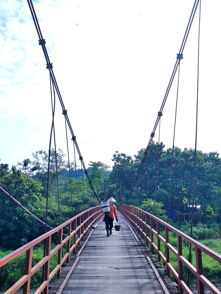 Tinjomoyo: Dari Kebun Binatang ke Hutan Rekreasi Semarang 2026
