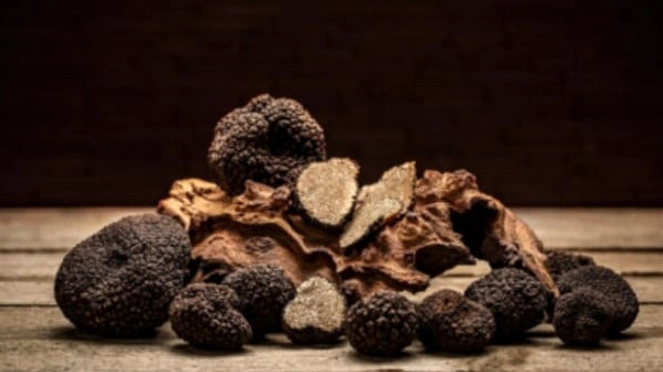 Truffle: 7 Hidangan yang Diperkaya Rasa dan Kekayaan Kuliner