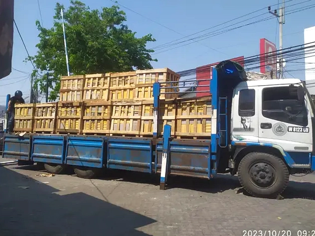 Truk Angkut Ekskavator Tersangkut JPO di Jakarta Selatan