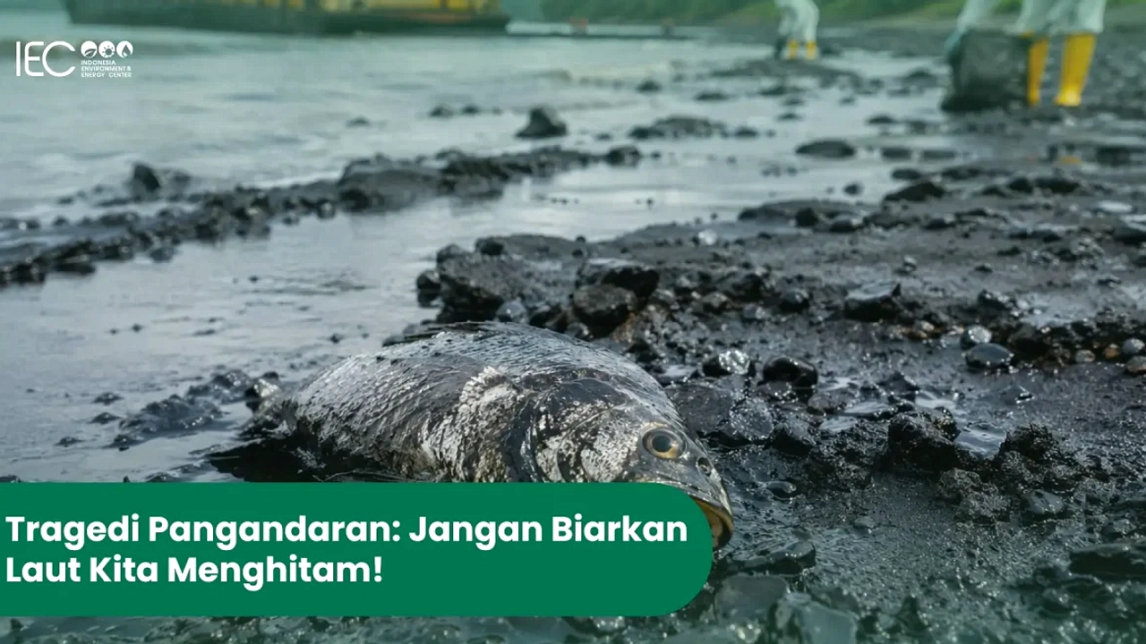Tumpahan Batu Bara Pangandaran Buktikan Kekhawatiran Nelayan