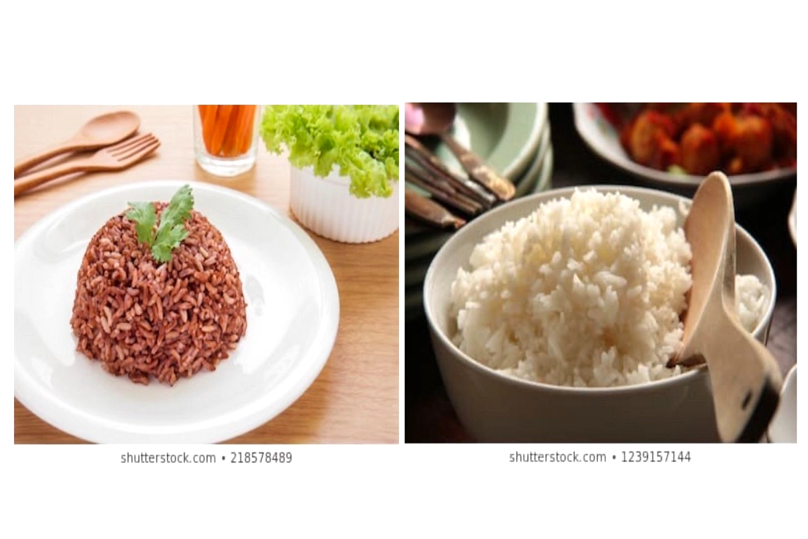 Ubi Jalar vs Nasi Putih: Mana Lebih Baik untuk Diet?